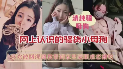 {简阶有续集}